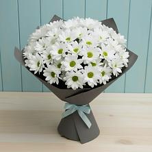 Букет цветов из:  Хризантемы в Муслюмово Татарстан