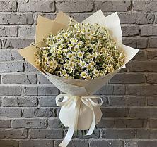 Букет цветов из:  Ромашки в Муслюмово Татарстан