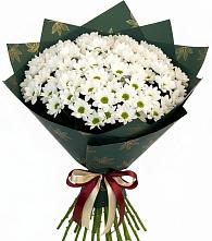 Букет цветов из:  Хризантемы в Муслюмово Татарстан