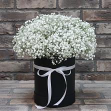 Цветочная композиция из Гипсофила в шляпной коробке в Муслюмово Татарстан