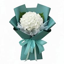 Букет цветов из:  Гортензия в Муслюмово Татарстан